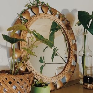 Bohemian Mirror